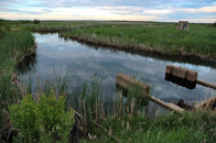 Waterfowl Park