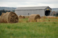 Wheaton Covered Bridge