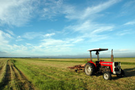 Harvest Time